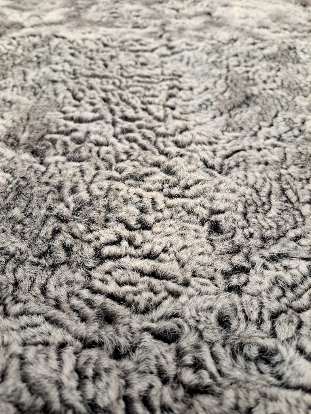 Innocente, 125 cm. - Krave - La Coon Lamb - Kvinder - Mørkebrun