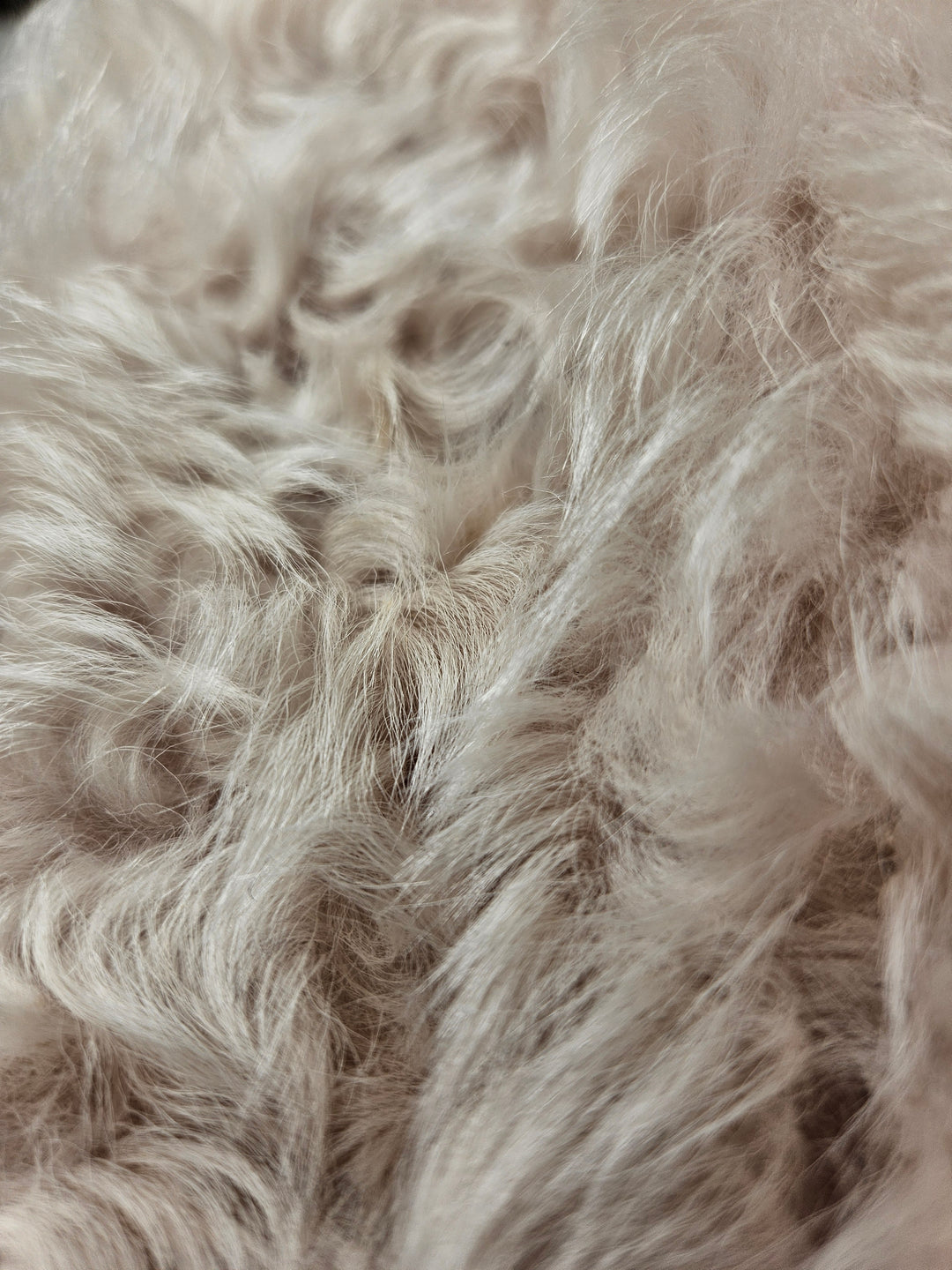 Jessica, 68 cm. -Krave - Ruskindslam - Damer - Lys Beige