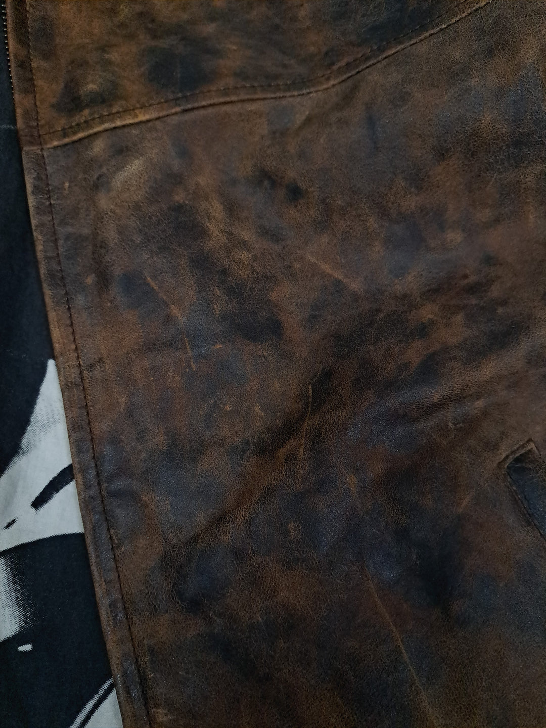 James Dean, 65 cm. - Collar - Leather - Man - Brown