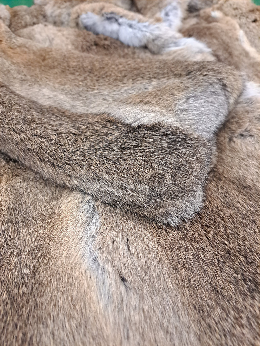 Jabby, 115 cm. - Kanin - Kvinder - Hare