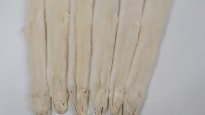 Mink White M. - Dressed Fur Skin - Fur