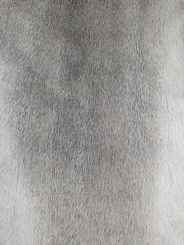 Seal Blueback Grey - Dressed Fur Skin - Fur | STAMPE PELS