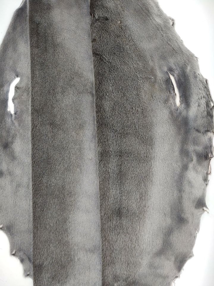 Seal Blueback Grey - Dressed Fur Skin - Fur | STAMPE PELS